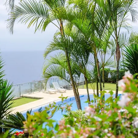 Unique Tropical Style Penthouse With A Dreamy View - By Portugal Collection Apartment Calheta  Exterior photo